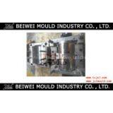 Plastic Injection Visor Mould