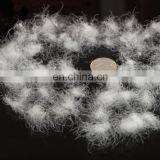 95% Washed White Big Duck Down for Star Hotel Filler thumbnail-2