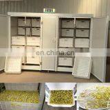 здоровая машина для приготовления съедобных ростков фасоли мунга