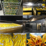 Mango drying equipment, drying equipment and machinery