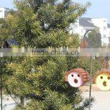 Mini Outdoor Wooden Bird Houses thumbnail-4