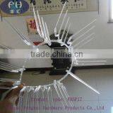 Whole Palstic Bird Spike With Most Durable thumbnail-5