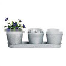 New Metal White Finished Tray Planters thumbnail-1