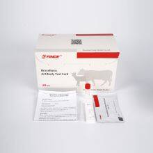 Быстрый тест на антитела к бруцелле bovis и ovis