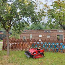 rc Lawn Mower, China Robot Lawn Mower With Remote Control Price, rc Mower Price for Sale thumbnail-5