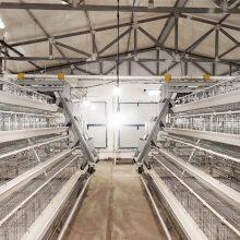Poultry Farming Equipment Automatic Chicken Battery Cage thumbnail-5
