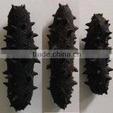 DRIED SEA CUCUMBER FROM TAIWAN STRAIT CHINA