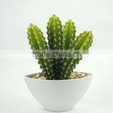 Factory Price Hot Sale Plastic Bonsai Home Artificial Cactus Plants thumbnail-1