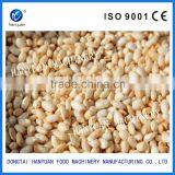 Pine Nut Processing Machine, Corn Puffing Machine thumbnail-5