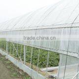 High Quality Transparent Greenhouse Film , Agricultural Film, Farm Film thumbnail-1