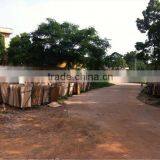 Acacia/Eucalyptus Core Veneer thumbnail-6