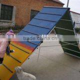 Dog Agility Dog Long Walk Training