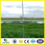 2.8mm Edge Wire With 30cm Weft Opening Horse Fence Wire Mesh