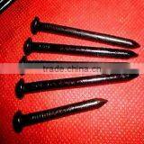 50mm Concrete Nails Galvanized thumbnail-4