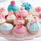 Non Dairy Creamer for Whip Topping Creamer thumbnail-2