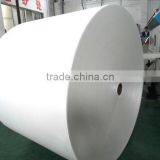 PE Coated Paper Cup Fan