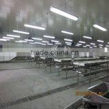 YTF Type no Damage Cherry Sorting /grading Line/sieving Machine/sorting Machine/ Sorter/ Classifier/