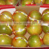 Chinese Honey Pomelo thumbnail-1