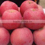 Fresh Fuji Apple With Best Price China Fuji Apple thumbnail-4