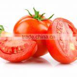 Factory Price Natural Lycopene Tomato Extract Powder thumbnail-2