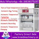 Poultry Bird Egg Fully Automatic Coal Dual Incubators 176 Chicken Egg Incubator for Sale thumbnail-2