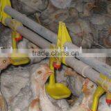 Poultry Drinking Nipples