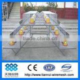 Hot Sale A Type Chicken Cage for Chicken Farm thumbnail-1