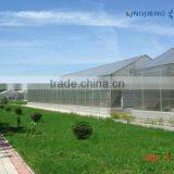 Poly Greenhouses thumbnail-3