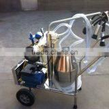 Cow Milking Machine Price in India thumbnail-1