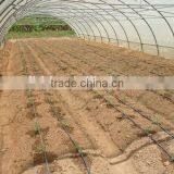BaoLiDa Low Costagricultural Plastic Film Covering Tunnel Greenhouse thumbnail-5