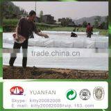 Yuanfan 100% pp Nonwoven Fabric Non Woven Fabric Agriculture Fabric