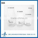 White Spraying Plastics Big Bottom Glass Jar for Pasta thumbnail-1