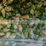 Frozen Cooked Whelk thumbnail-1