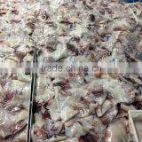 Frozen Squid Wing thumbnail-5