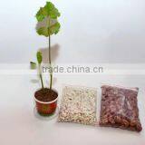 Magic Egg With Abundant Faces With Customized Magic Bean With Tray thumbnail-5