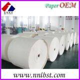 Cup Type and Pulp Material Pe Coated Paper Roll thumbnail-1