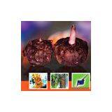 Sell Konjac Gum thumbnail-1