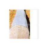 Tear Resistant, Shrink-resistant Anti-UV Nonwoven Agriculture Fabric for Wall Cover thumbnail-1