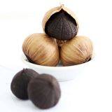 Black Garlic thumbnail-1