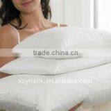 100% Natural Silk Pillow thumbnail-1