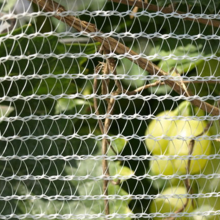 Protective Net Machine thumbnail-3