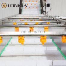Hot Sale Fruit and Vegetable Washing Equipment Machine Line thumbnail-5