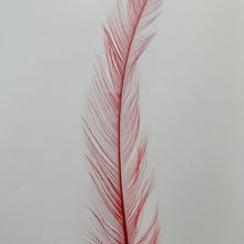 Burnt Rooster/Coque/Cock Tail Feather Dyed Red from China