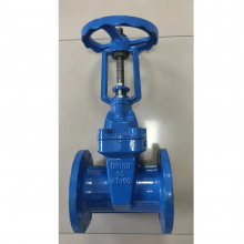 BS DIN PN16 Rising Stem OS&Y Flange Cast Iron GG25 Gate Valve Soft Seal GGG40 GGG50 Ductile Iron Gate Valve thumbnail-3