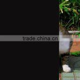 Projection Film Black /Glass Window Advertising thumbnail-6
