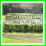 Animal Protection Fence/plastic Wire Bird Mist Nets for Vineyard thumbnail-3
