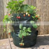 Recycled Pop -Up Strawberry Planter For Garden Planting