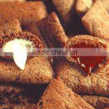 Core-Filling Snack Food Extruder thumbnail-5