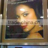 Reverse Backlit Film for Inkjet Printing