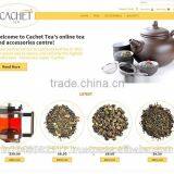 Website Design and Development in India Delhi thumbnail-6